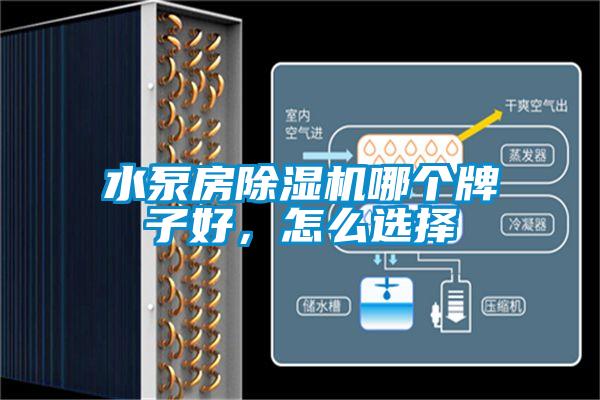 水泵房除湿机哪个牌子好，怎么选择