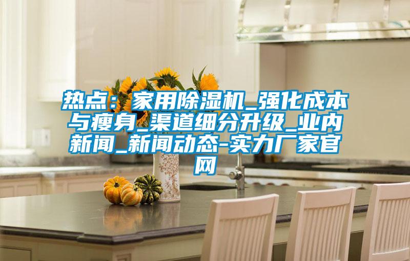 热点：家用除湿机_强化成本与瘦身_渠道细分升级_业内新闻_新闻动态-实力厂家官网