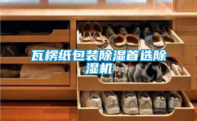 瓦楞纸包装除湿首选除湿机