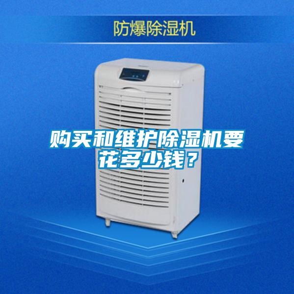购买和维护除湿机要花多少钱？