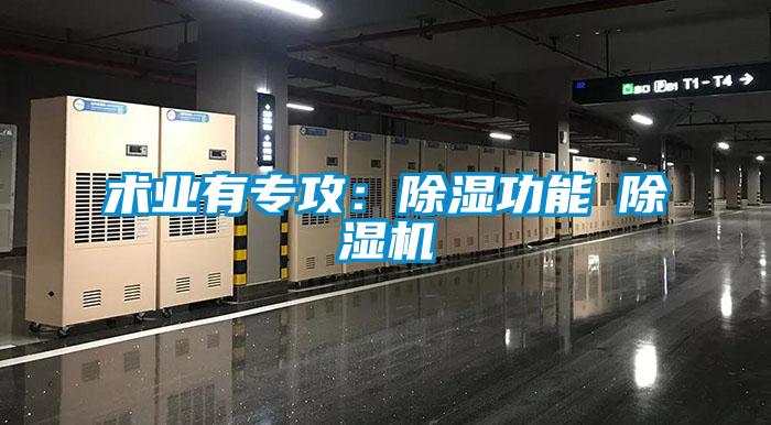 术业有专攻：除湿功能≠除湿机