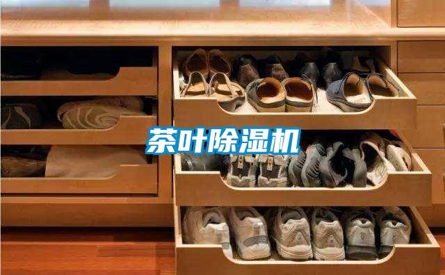 茶叶除湿机