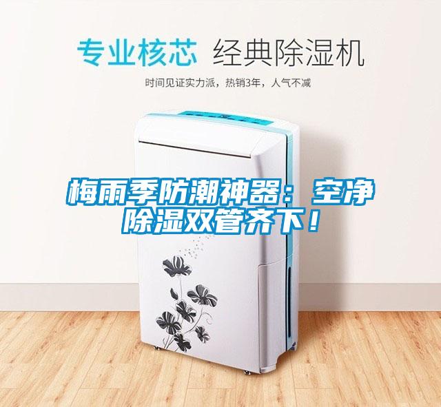 梅雨季防潮神器：空净除湿双管齐下！