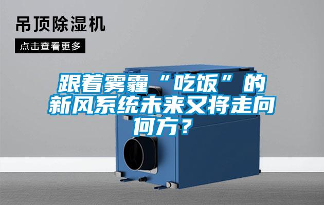 跟着雾霾“吃饭”的新风系统未来又将走向何方？