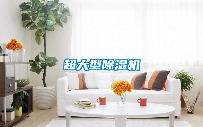 超大型除湿机