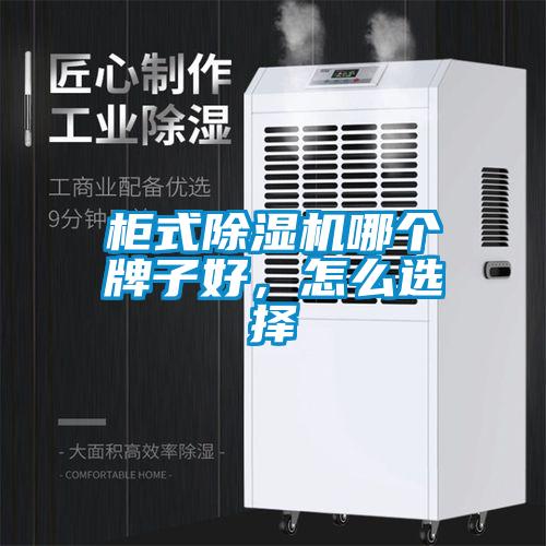 柜式除湿机哪个牌子好，怎么选择