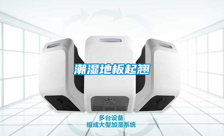 潮湿地板起翘