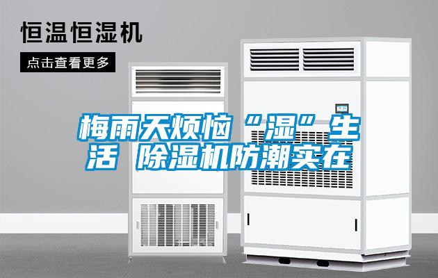 梅雨天烦恼“湿”生活 除湿机防潮实在