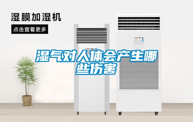 湿气对人体会产生哪些伤害