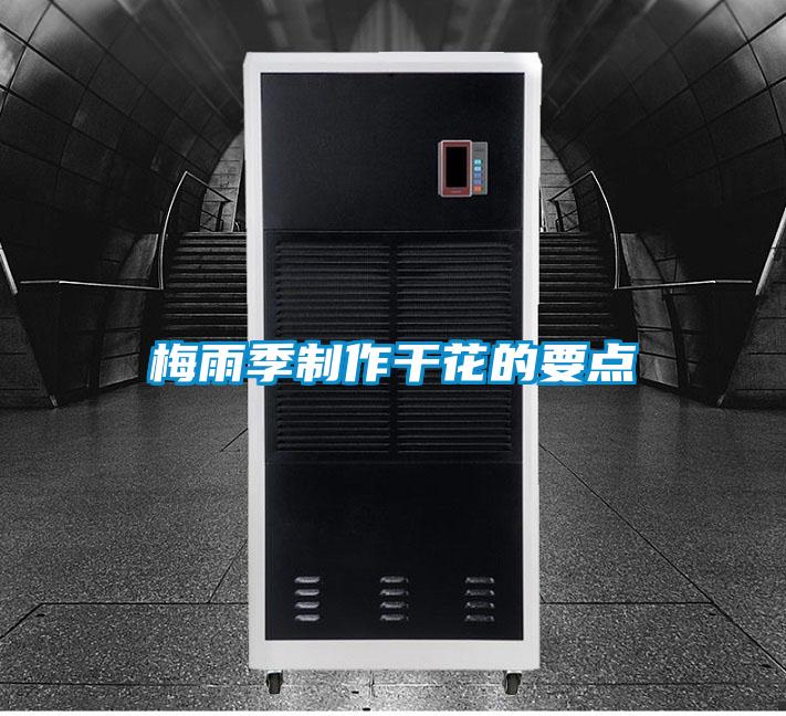 梅雨季制作干花的要点