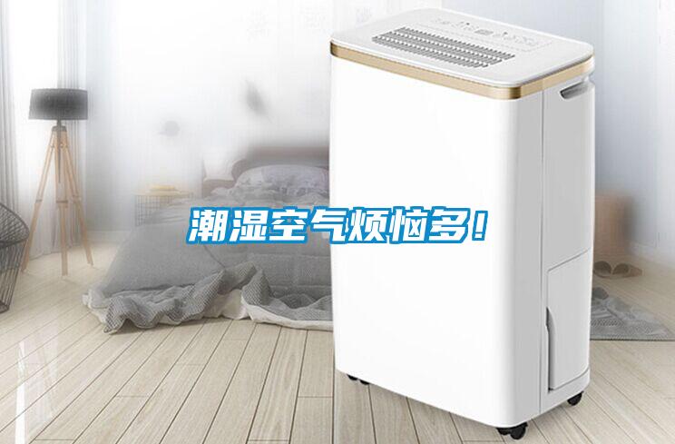 潮湿空气烦恼多！