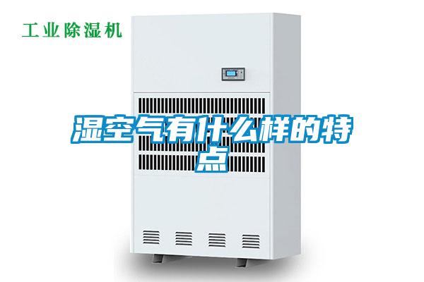 湿空气有什么样的特点
