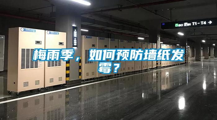 梅雨季，如何预防墙纸发霉？
