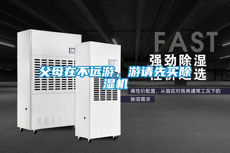 父母在不远游，游请先买除湿机