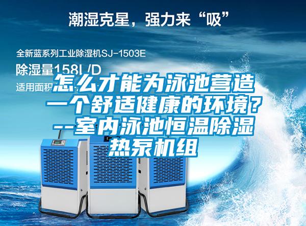 怎么才能为泳池营造一个舒适健康的环境？--室内泳池恒温除湿热泵机组