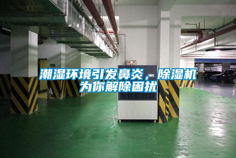 潮湿环境引发鼻炎，除湿机为你解除困扰