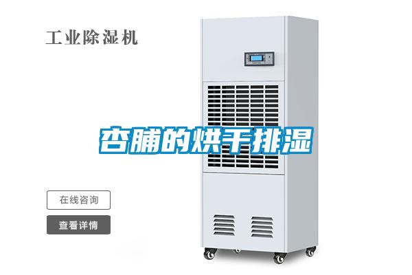杏脯的烘干排湿