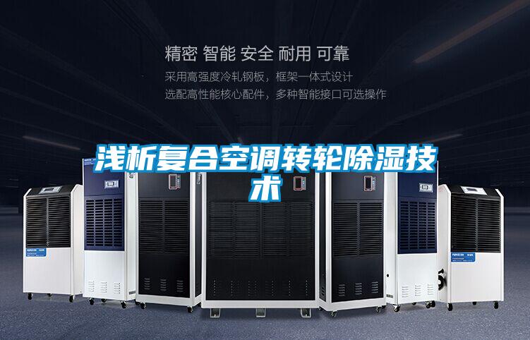 浅析复合空调转轮除湿技术