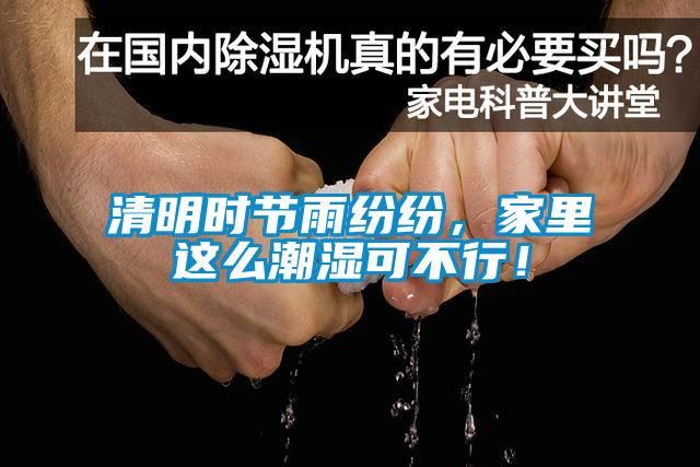 清明时节雨纷纷，家里这么潮湿可不行！