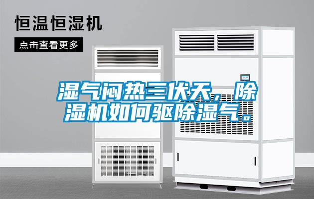 湿气闷热三伏天，除湿机如何驱除湿气。
