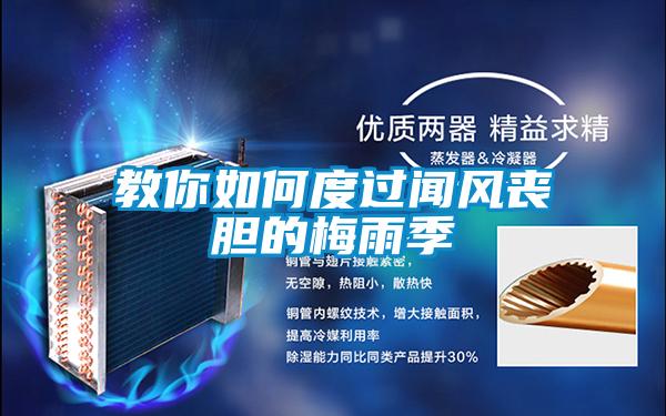 教你如何度过闻风丧胆的梅雨季