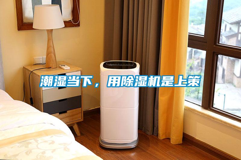 潮湿当下，用除湿机是上策