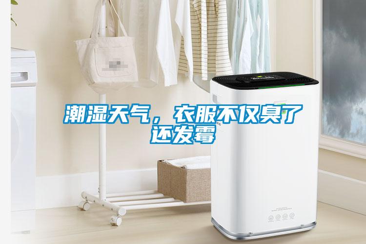 潮湿天气，衣服不仅臭了还发霉
