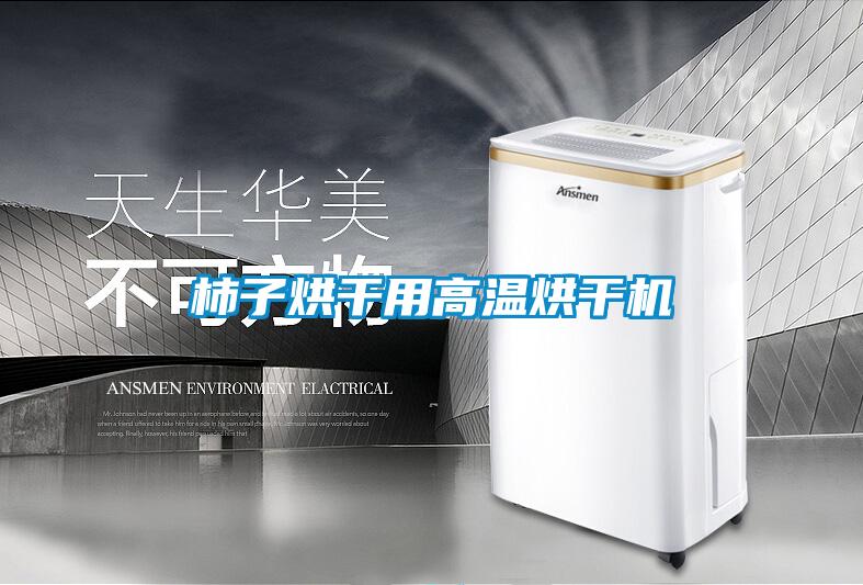 柿子烘干用高温烘干机