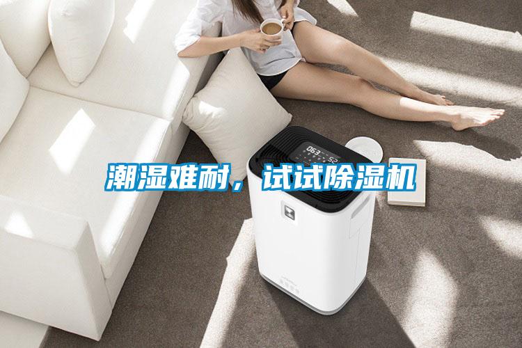 潮湿难耐，试试除湿机
