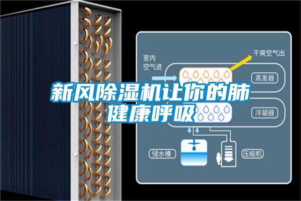 新风除湿机让你的肺健康呼吸