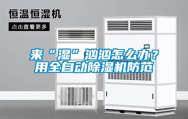 来“湿”汹汹怎么办？用全自动除湿机防范