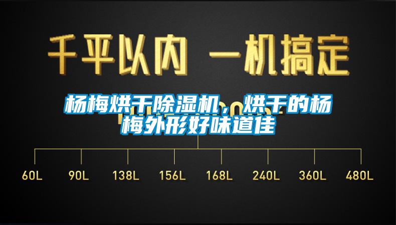 杨梅烘干除湿机，烘干的杨梅外形好味道佳