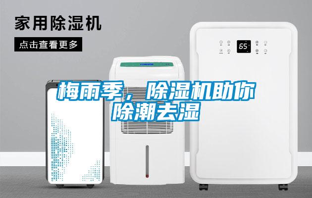 梅雨季，除湿机助你除潮去湿