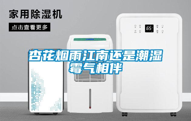 杏花烟雨江南还是潮湿霉气相伴