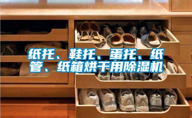 纸托、鞋托、蛋托、纸管、纸箱烘干用除湿机