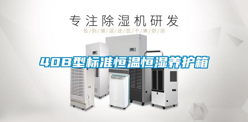 40B型标准恒温恒湿养护箱