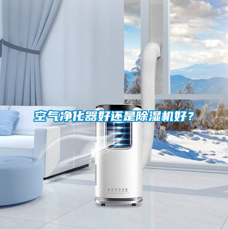 空气净化器好还是除湿机好？