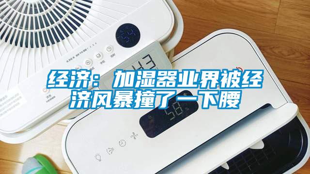 经济：加湿器业界被经济风暴撞了一下腰