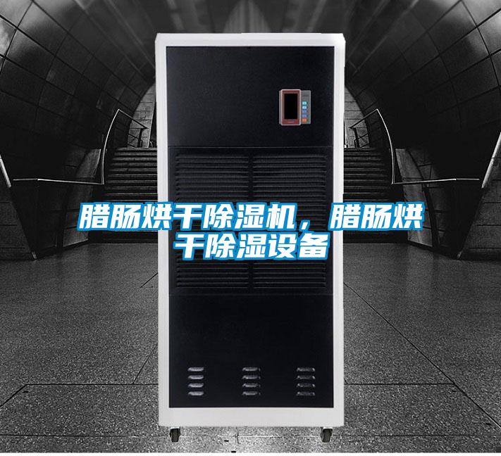 腊肠烘干除湿机，腊肠烘干除湿设备