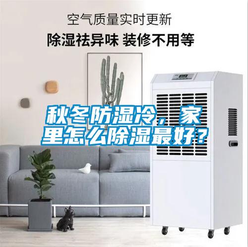 秋冬防湿冷，家里怎么除湿最好？