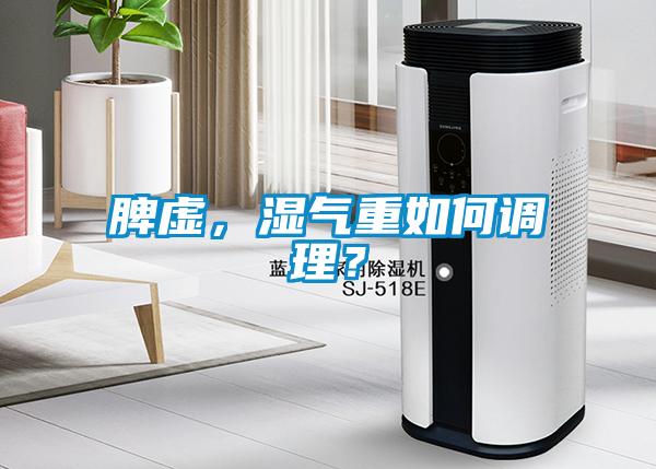 脾虚，湿气重如何调理？