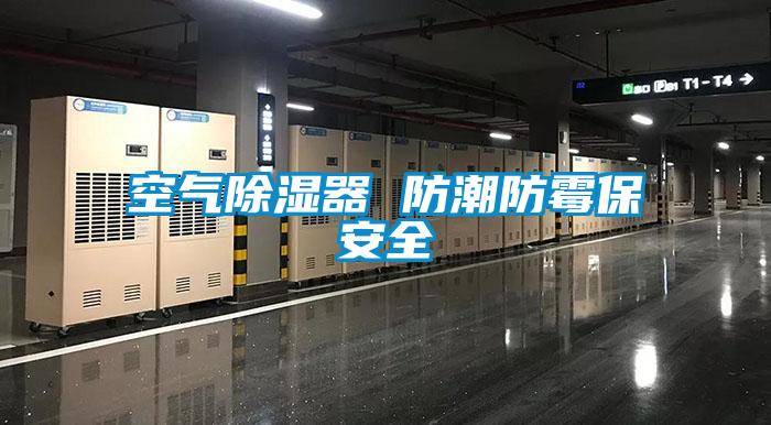 空气除湿器 防潮防霉保安全