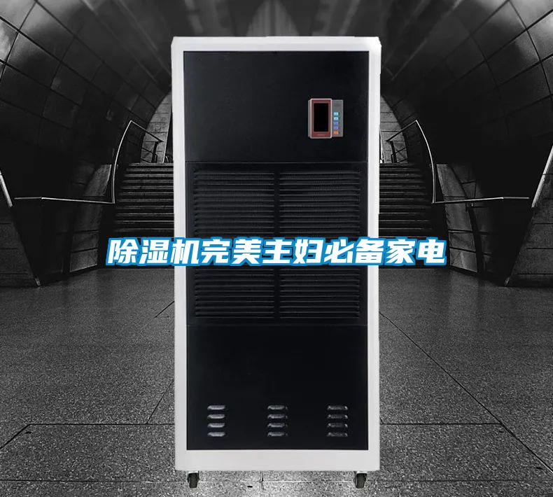 除湿机完美主妇必备家电