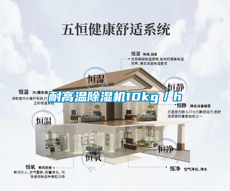 耐高温除湿机10kg／h