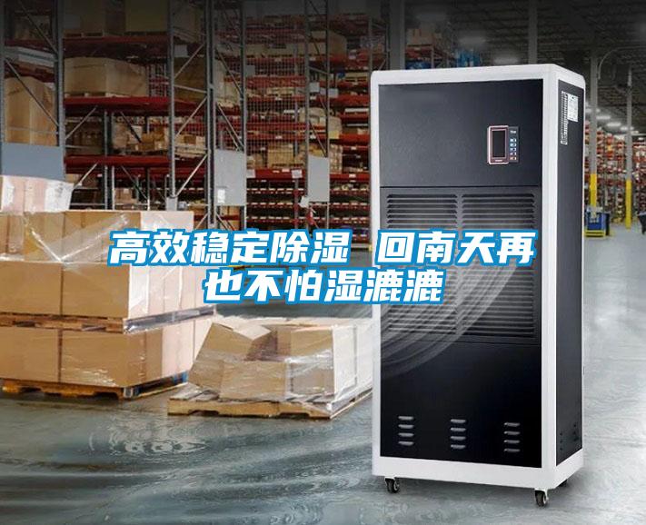 高效稳定除湿 回南天再也不怕湿漉漉