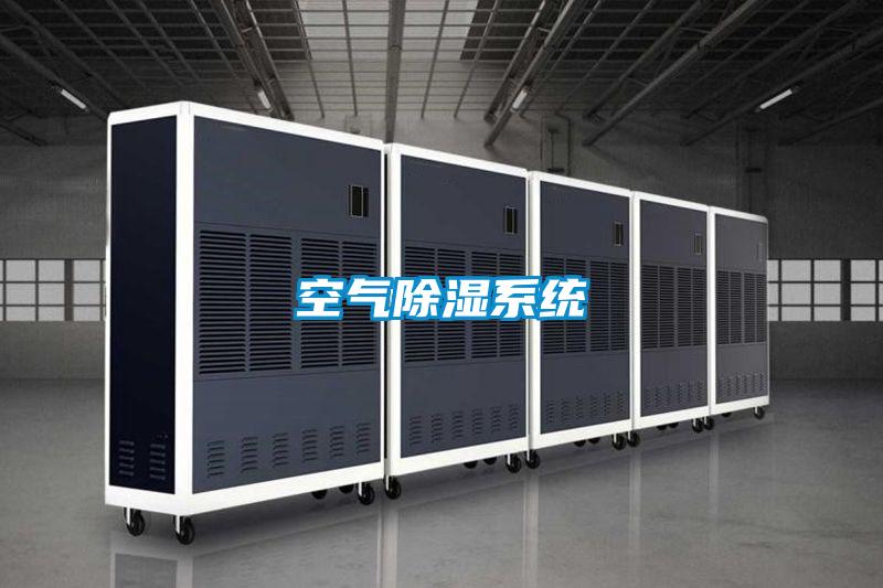 空气除湿系统