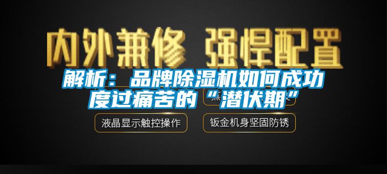 解析：品牌除湿机如何成功度过痛苦的“潜伏期”