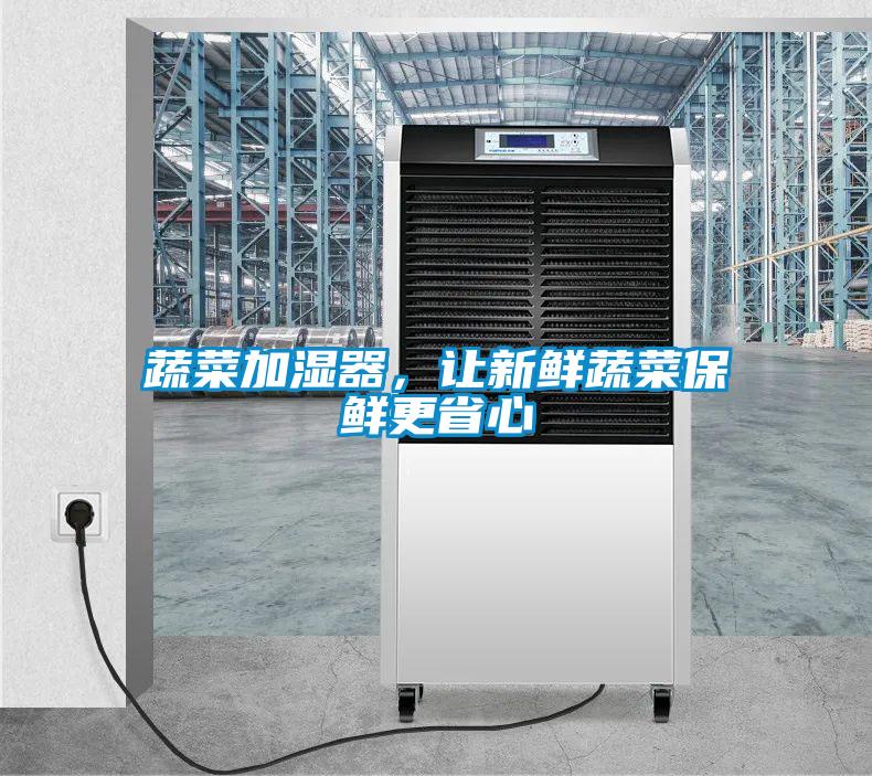 蔬菜加湿器，让新鲜蔬菜保鲜更省心
