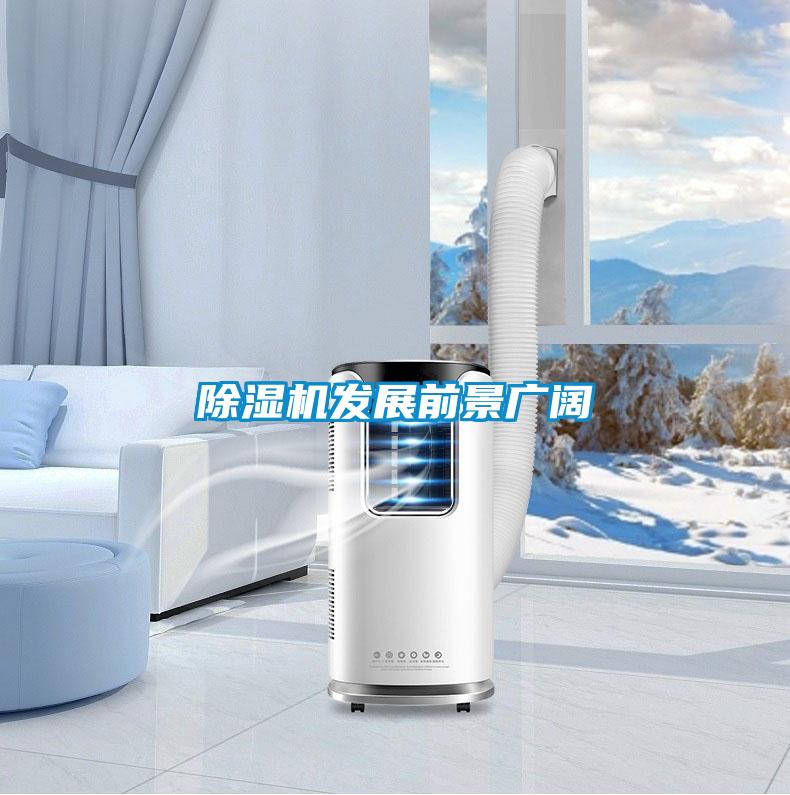 除湿机发展前景广阔