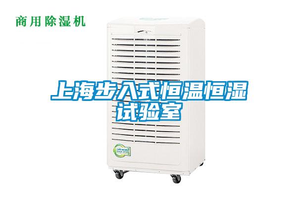 上海步入式恒温恒湿试验室
